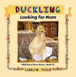 Duckling: Looking for Mom