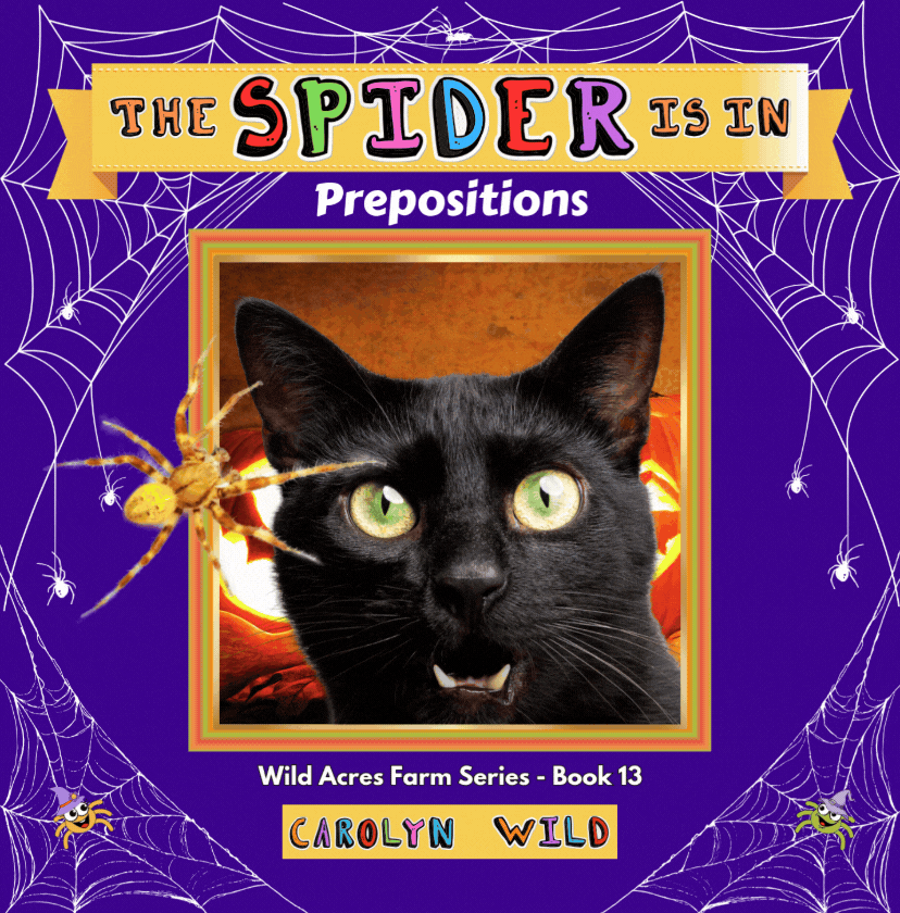 The Spider Is In Prepositions gif (1)